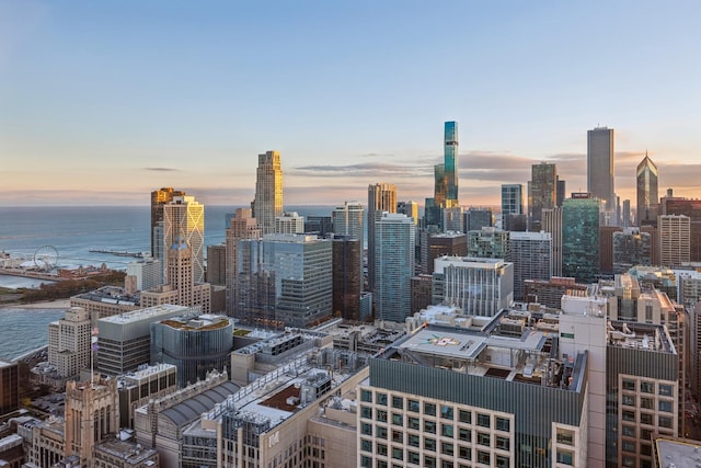 180 E Pearson St Unit 4606, Chicago, IL 60611 - city view with a water view