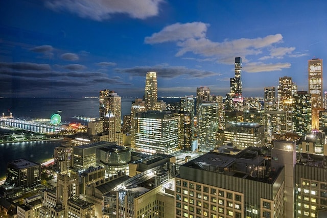 180 E Pearson St Unit 4606, Chicago, IL 60611 - view of city featuring a water view