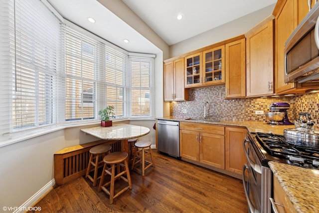 kitchen featuring dark wood-style floors, light stone counters, appliances with stainless steel finishes, a sink, and backsplash