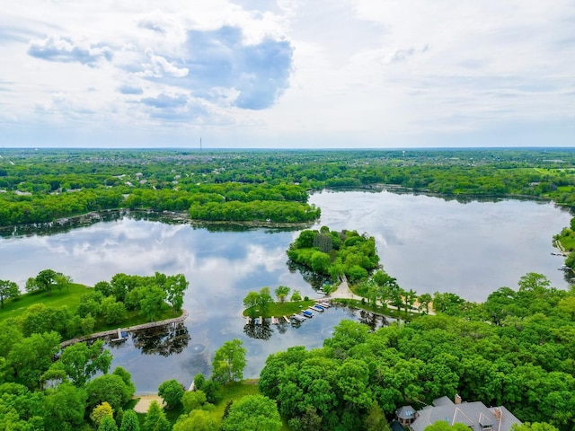 birds eye view of property with a water view and a view of trees