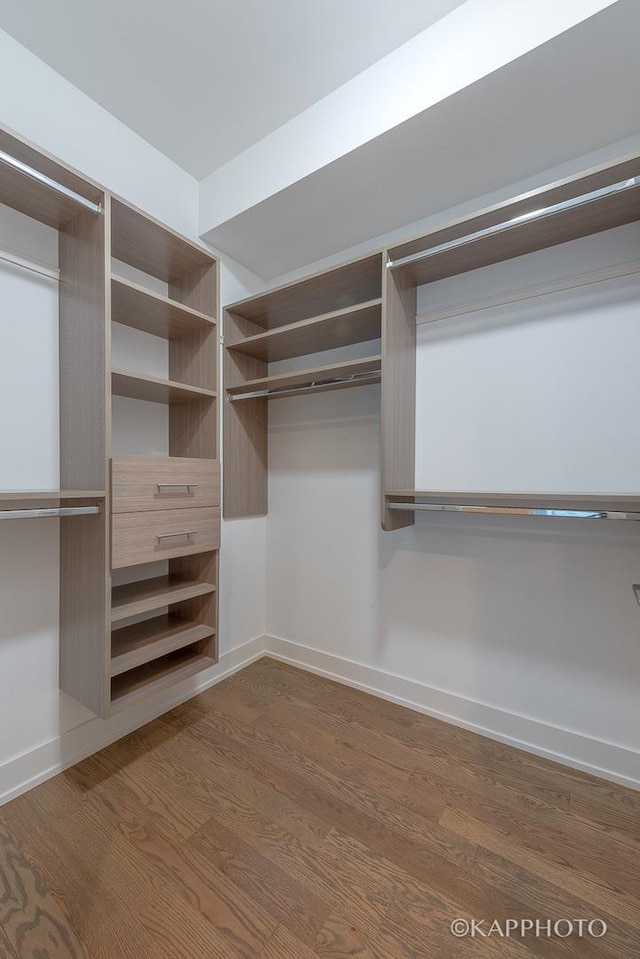 spacious closet featuring dark wood-style flooring