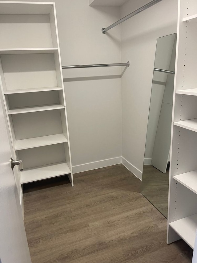 spacious closet with dark wood-style flooring