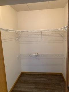 walk in closet with dark wood finished floors and a paneled ceiling