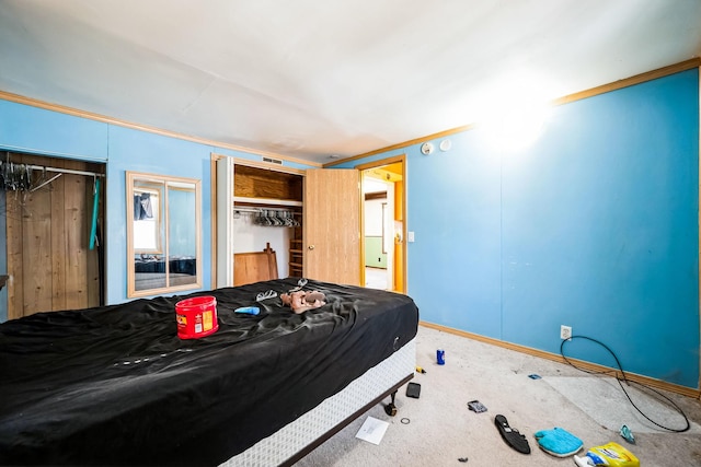 carpeted bedroom with two closets