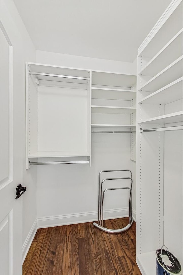 spacious closet featuring wood finished floors