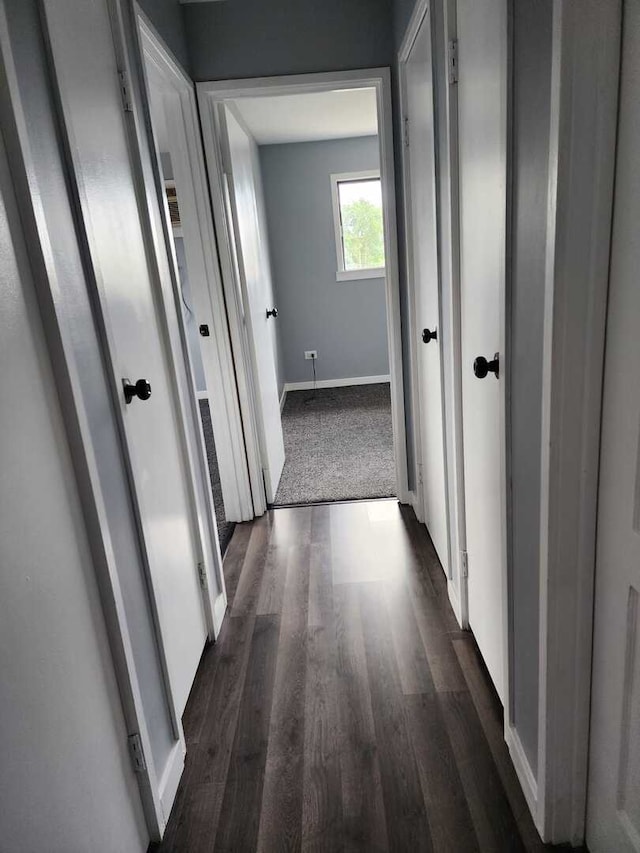 hallway with baseboards and dark wood finished floors