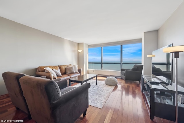 living room with wood finished floors