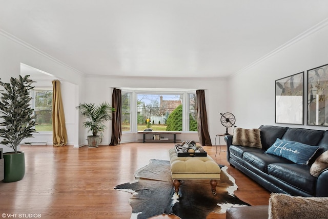 living room featuring wood finished floors and crown molding