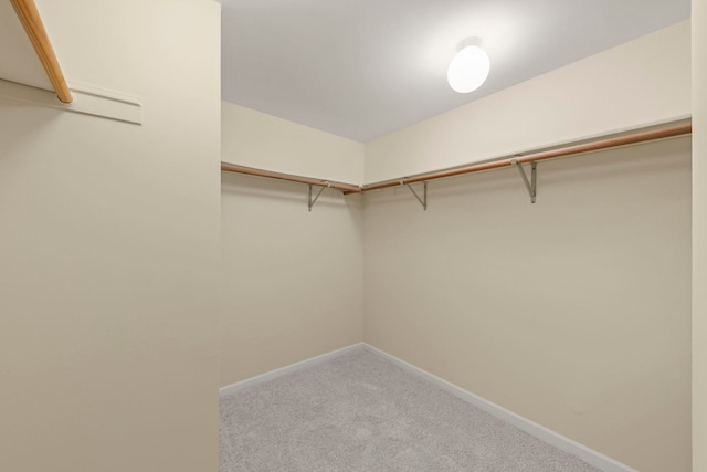 spacious closet featuring light carpet