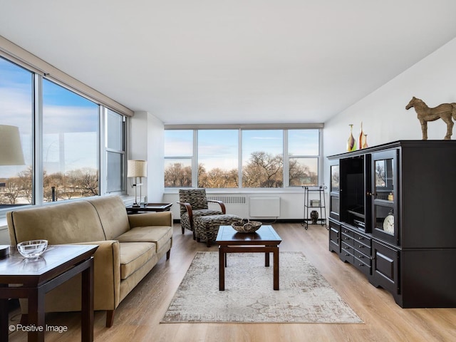 living room featuring light wood-style flooring