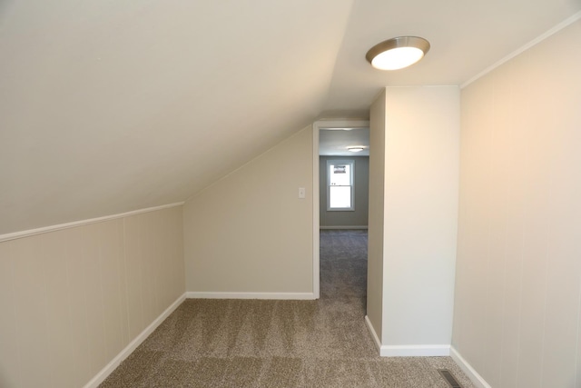 additional living space featuring lofted ceiling, carpet, visible vents, and baseboards