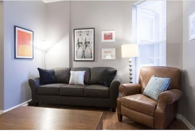 living area featuring baseboards and wood finished floors