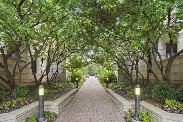 501 N Clinton St Unit 1705, Chicago, IL 60654 - view of property's community