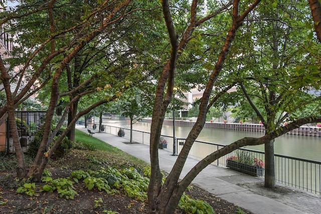 501 N Clinton St Unit 1705, Chicago, IL 60654 - surrounding community featuring a water view