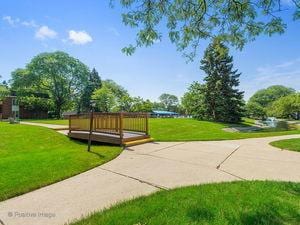 view of community featuring a yard