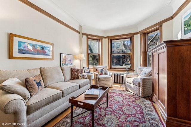 living area featuring crown molding, radiator heating unit, and wood finished floors