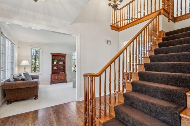 staircase with baseboards, wood finished floors, a towering ceiling, and crown molding