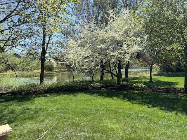 view of yard with a water view