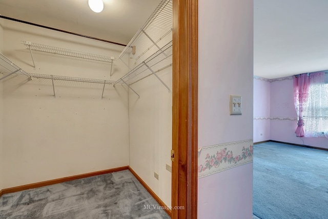 spacious closet with carpet flooring