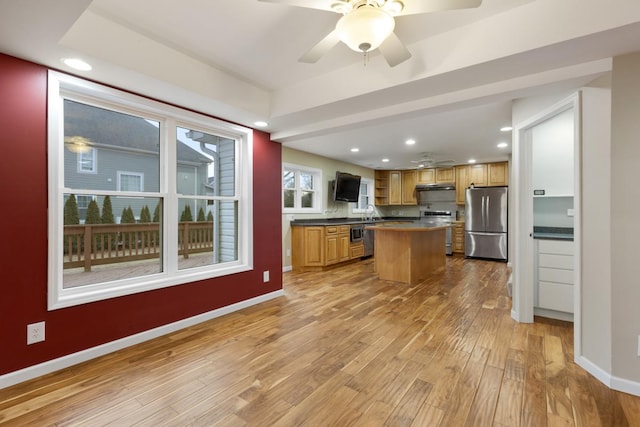 kitchen featuring recessed lighting, light wood-style flooring, appliances with stainless steel finishes, under cabinet range hood, and baseboards