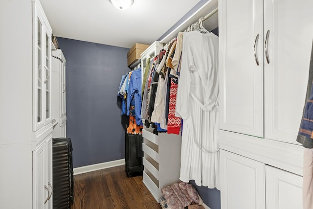 spacious closet featuring dark wood-style flooring