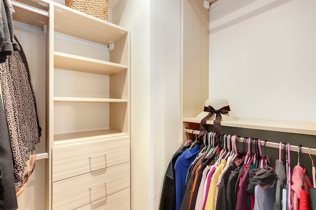 view of spacious closet