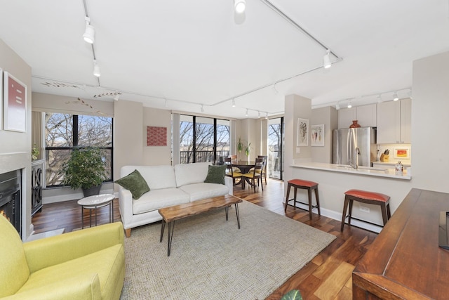 living room featuring a warm lit fireplace, dark wood-style flooring, and track lighting