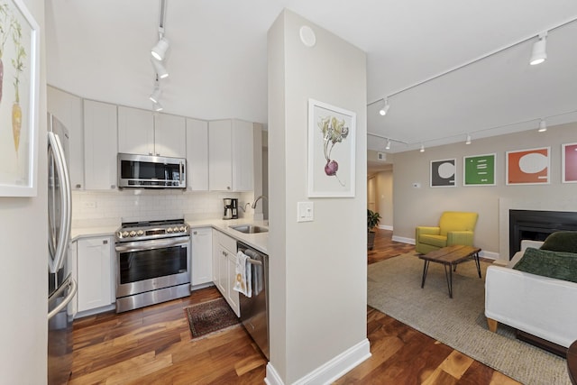 kitchen featuring stainless steel appliances, a sink, open floor plan, tasteful backsplash, and track lighting