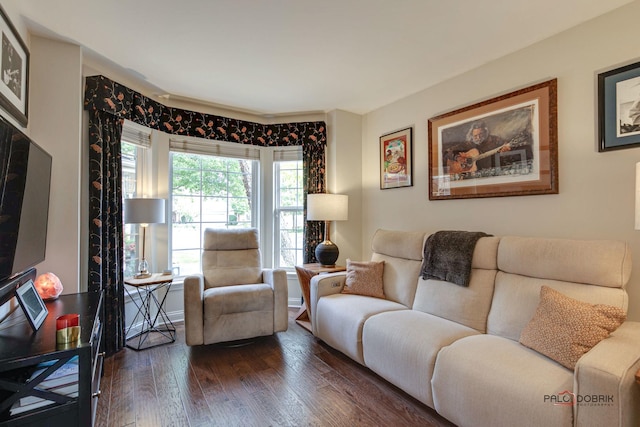 living area with dark wood-style floors and baseboards