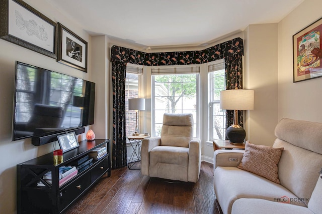 sitting room with dark wood-style flooring, a wealth of natural light, and baseboards