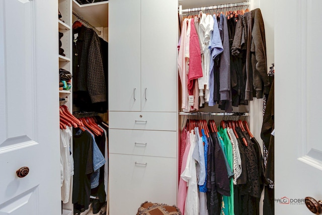 view of spacious closet