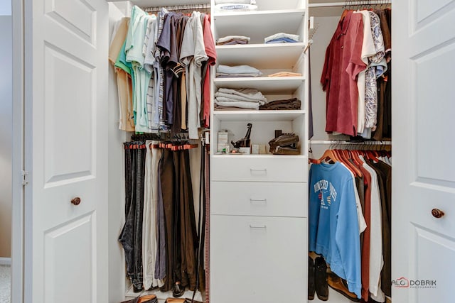 view of closet