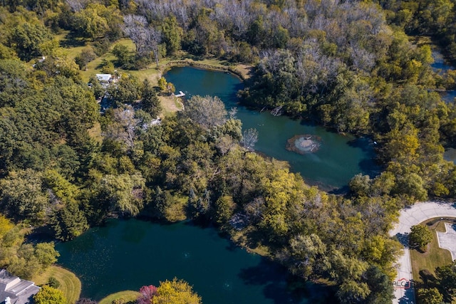 bird's eye view with a water view and a forest view