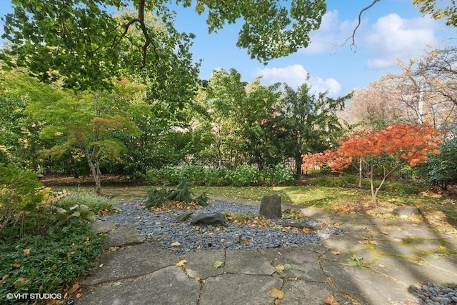 view of yard with a patio area