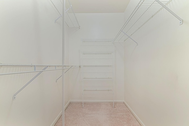 spacious closet with light colored carpet