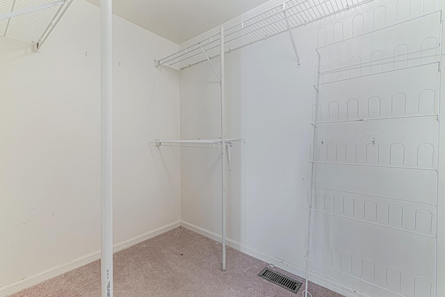 spacious closet featuring visible vents and carpet