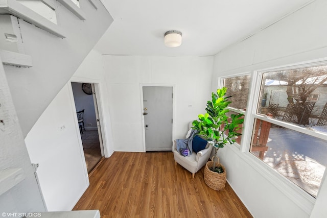 interior space with wood finished floors