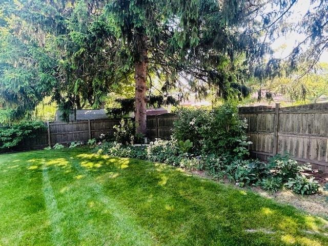 view of yard with a fenced backyard