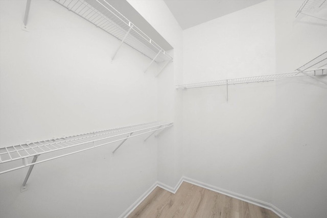 spacious closet with wood finished floors