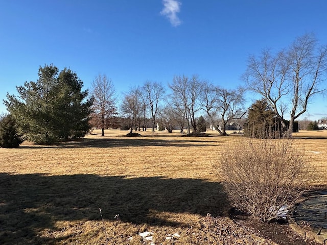 view of yard featuring a rural view