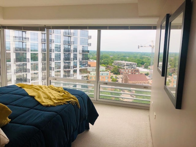 bedroom featuring carpet and a city view