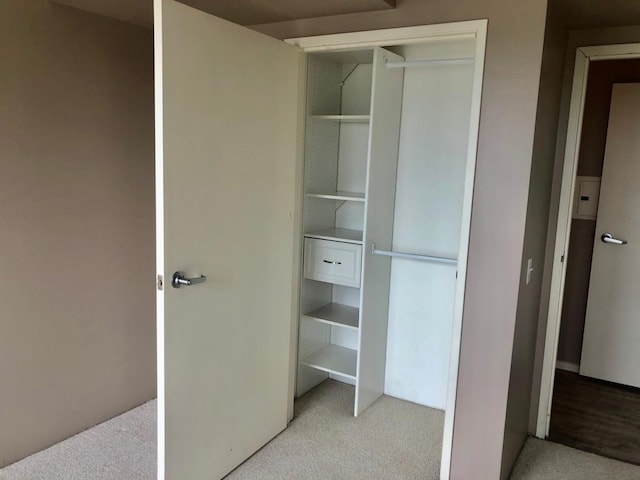 view of closet