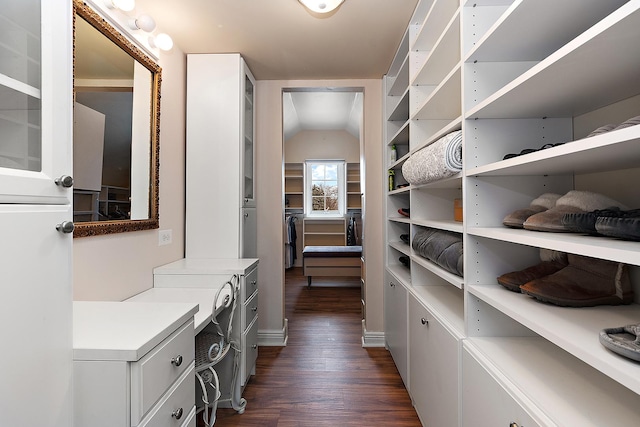 spacious closet with vaulted ceiling and dark wood finished floors