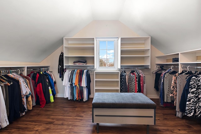 walk in closet featuring vaulted ceiling and wood finished floors