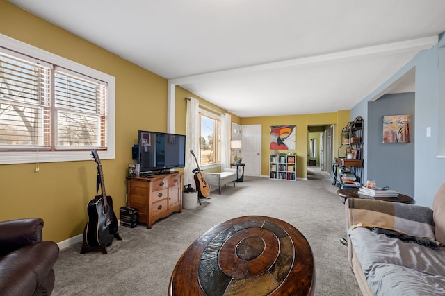 living area with carpet floors and baseboards