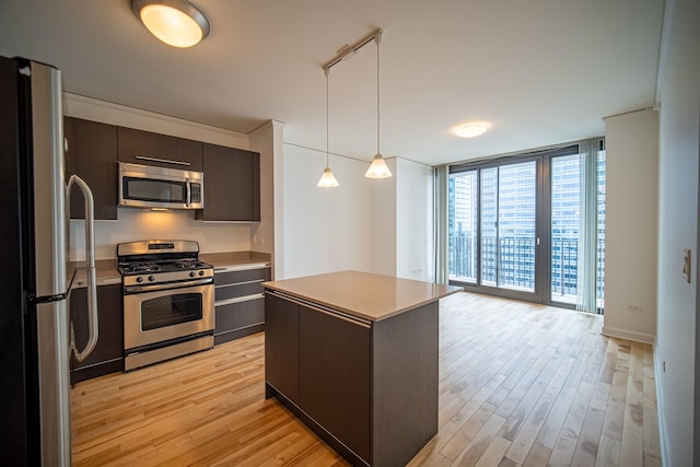 kitchen with expansive windows, dark brown cabinets, appliances with stainless steel finishes, and light wood-style floors