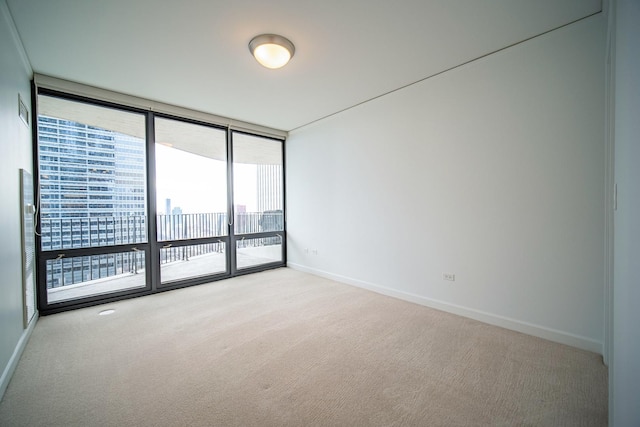 carpeted spare room featuring expansive windows and baseboards