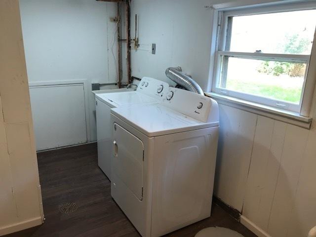 laundry area with laundry area, dark wood finished floors, and separate washer and dryer