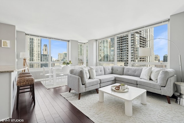 living area featuring a city view and dark wood finished floors