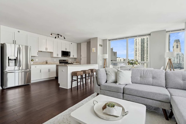 living area with track lighting, floor to ceiling windows, dark wood-style flooring, and a city view